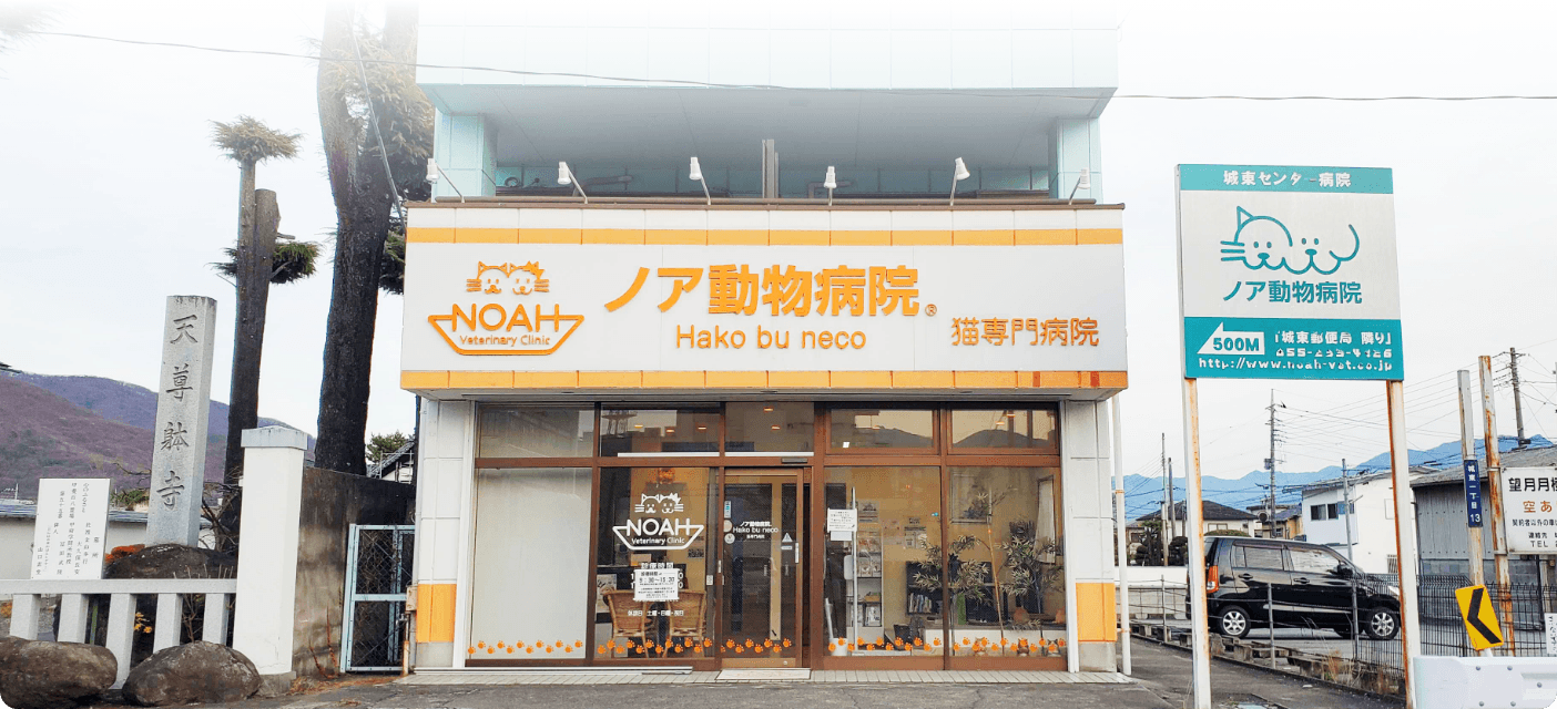 Hako bu neco 猫専門病院の外観