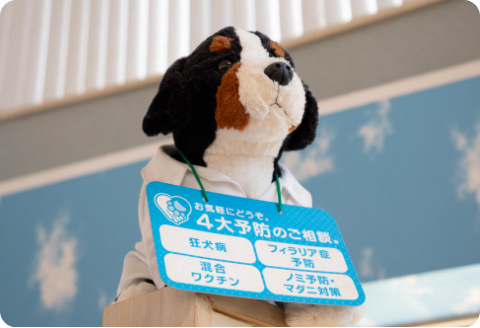 Heartworm Section Image