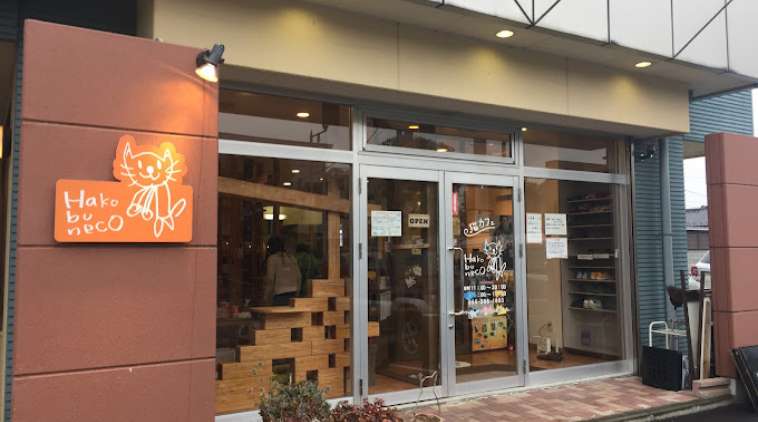 猫カフェ Hako bu neco
