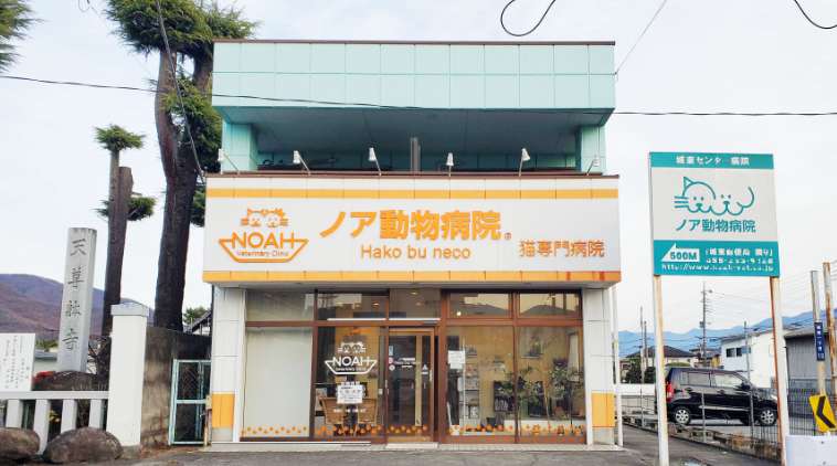 Hako bu neco 猫専門病院