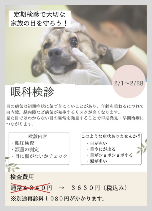 眼科検診チラシ