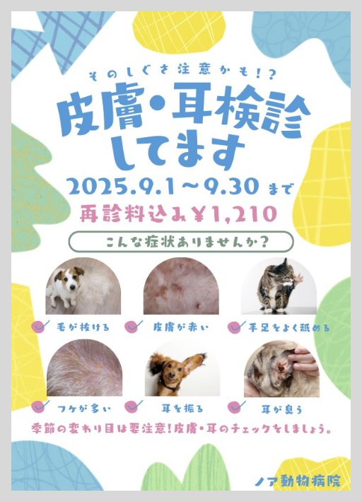 眼科検診チラシ